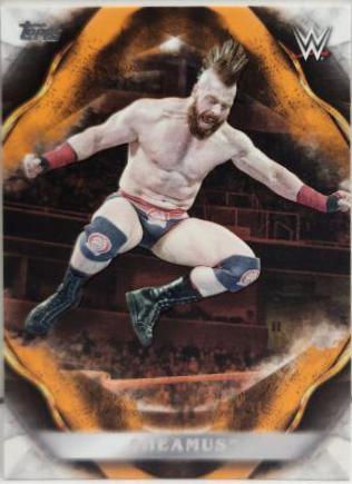 Sheamus [Orange] #66