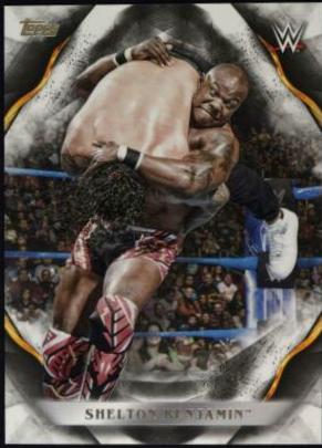 Shelton Benjamin #67