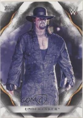 Undertaker #73