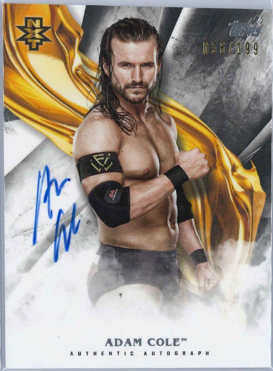 Adam Cole #A-AC