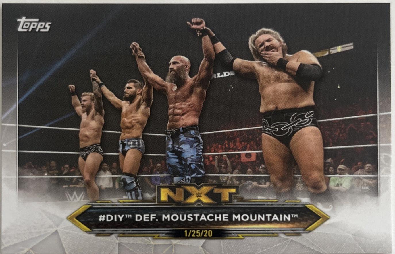 #DIY, Moustache Mountain [Silver] #99