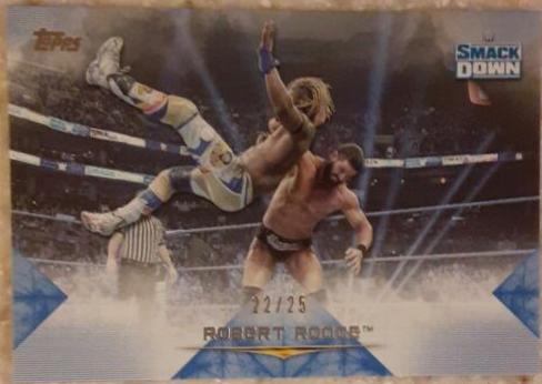Robert Roode [Blue] #44