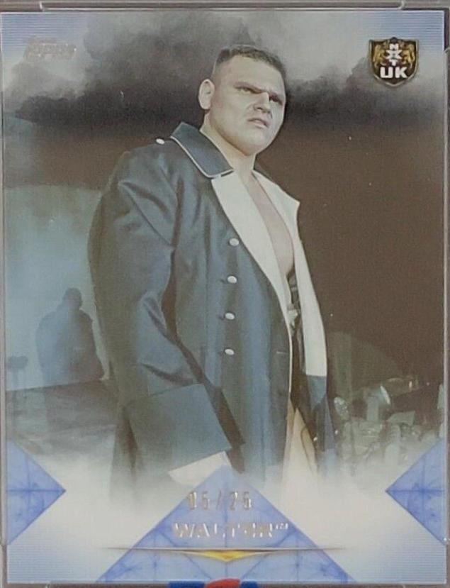 WALTER [Blue] #75