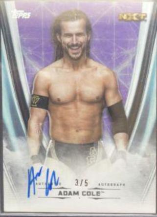 Adam Cole [Purple] #A-AC