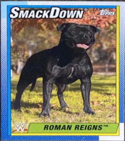 Roman Reigns [Dog] #70
