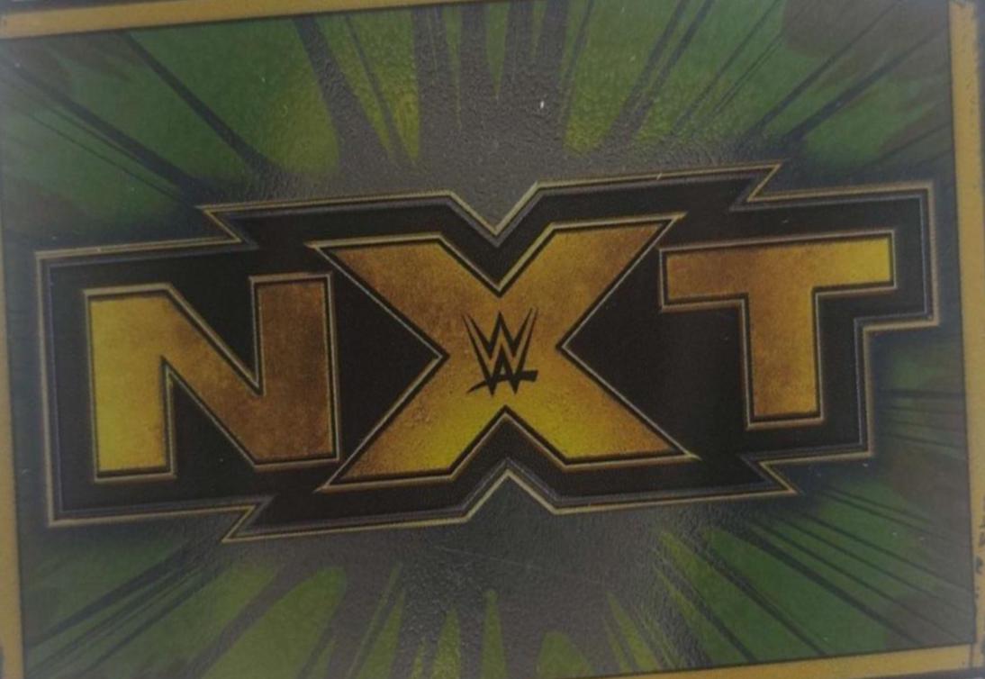 NXT Logo #288