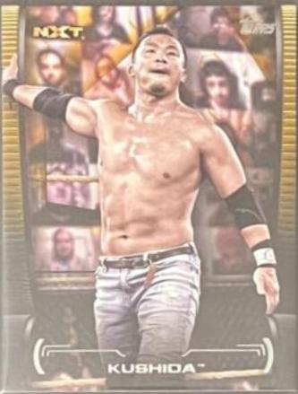 Kushida [Gold] #59
