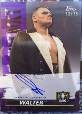 WALTER [Purple] #A-WT