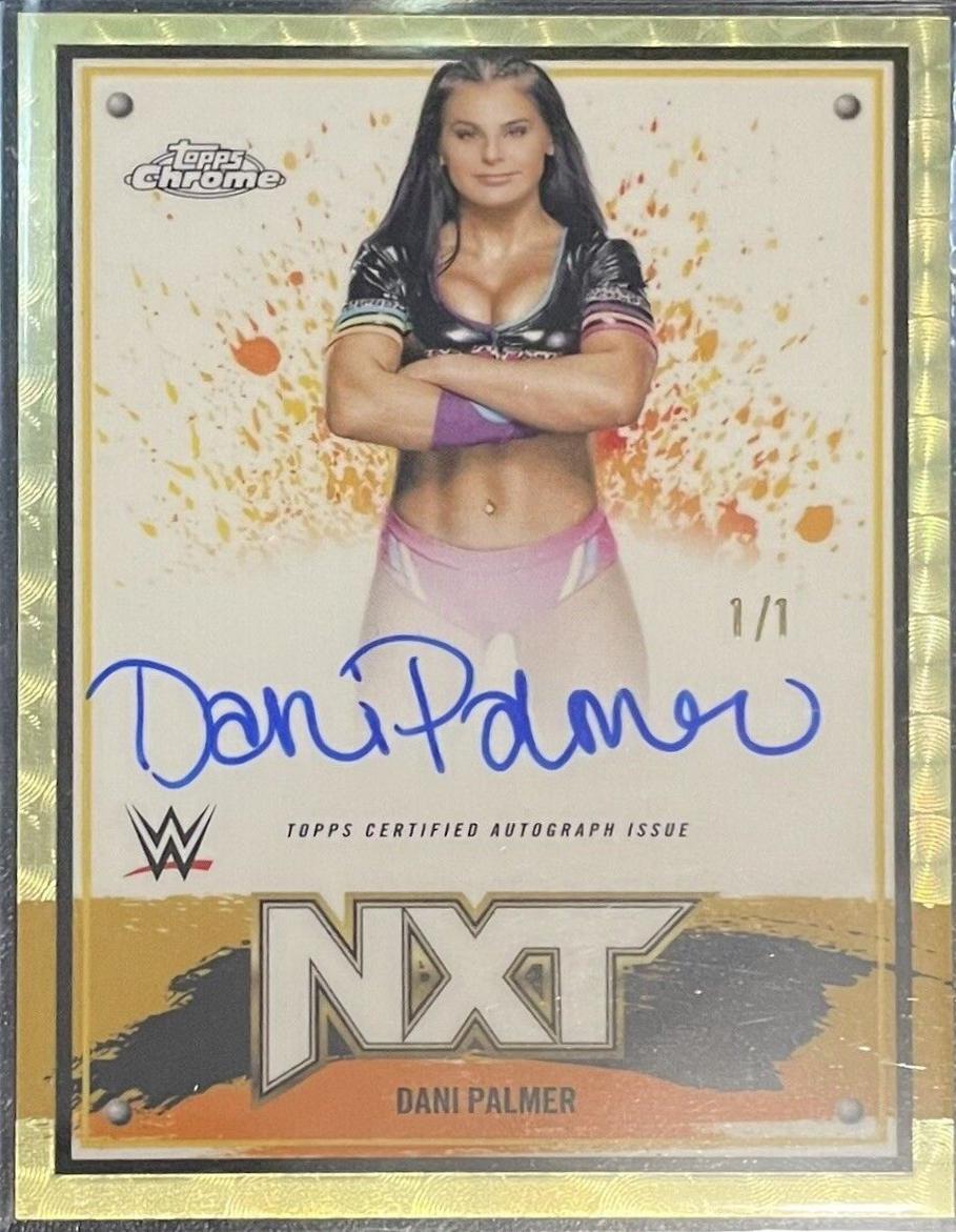 Dani Palmer [Superfractor] #NXT-DPM