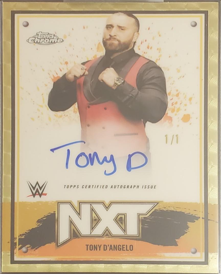 Tony D'Angelo [Superfractor] #NXT-TDA