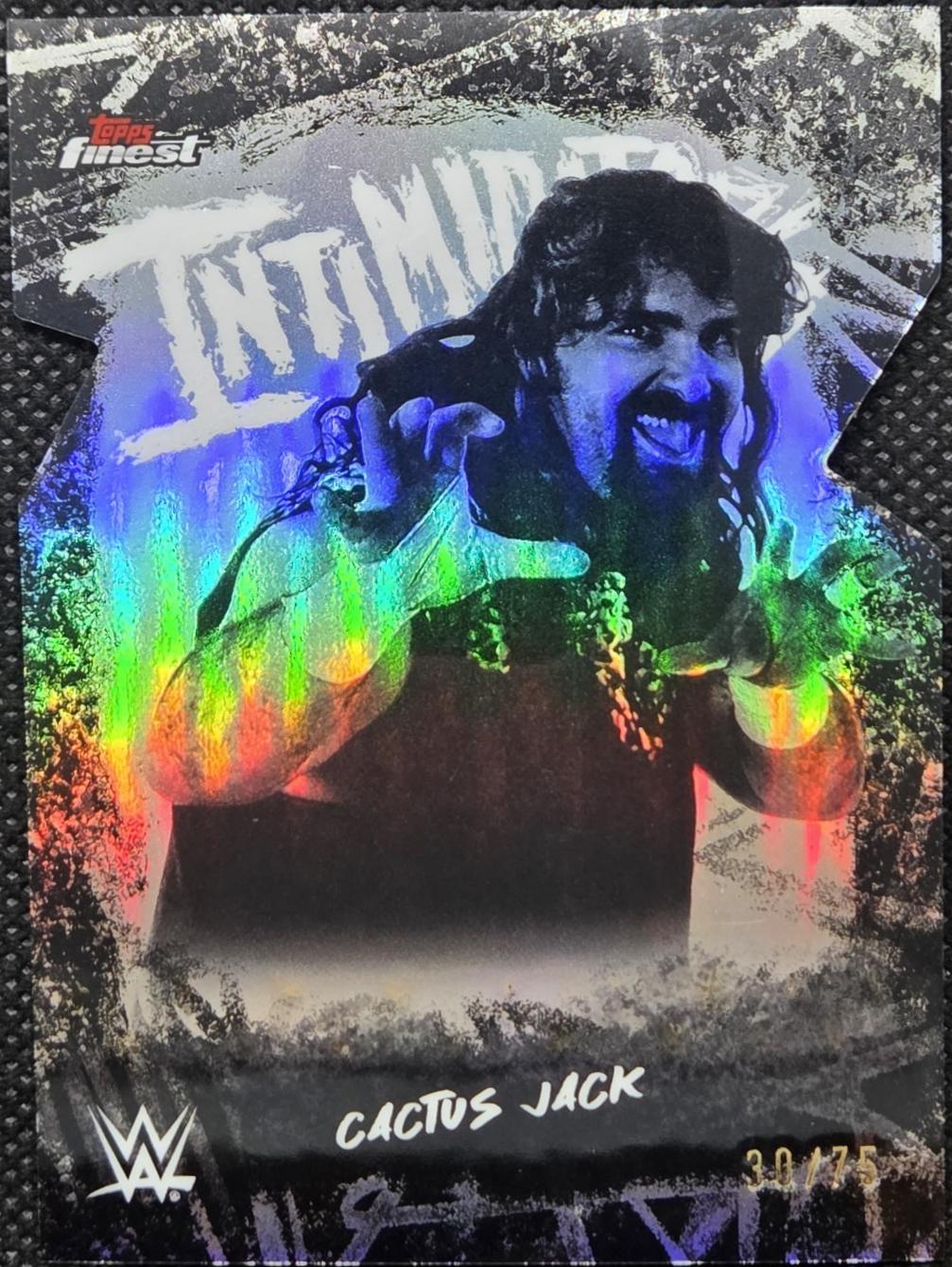 Cactus Jack [Die-Cut Refractor] #INT-CC