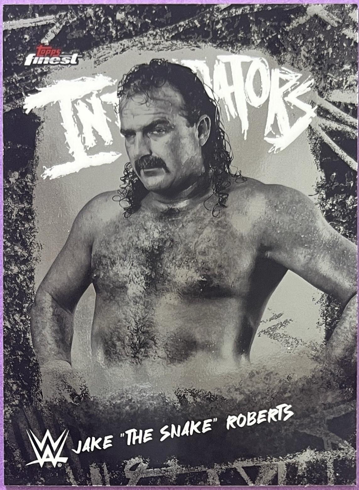 Jake The Snake Roberts #INT-JK