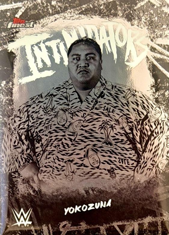 Yokozuna #INT-YK