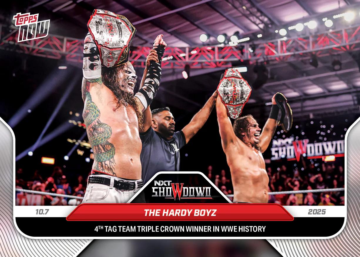 The Hardy Boyz #102