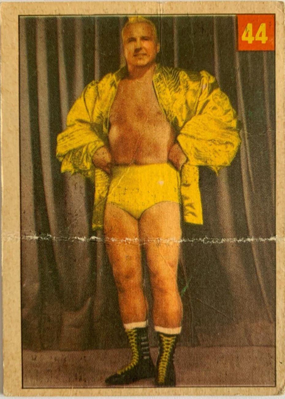 Steve Stanlee [Lucky Premium Back] #44