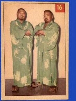 The Togo Brothers #16