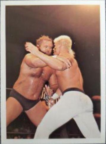 Arn Anderson #231