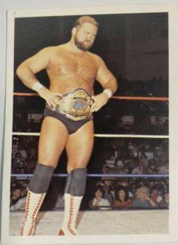 Arn Anderson #239