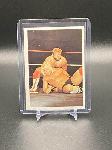 Arn Anderson, Barry Windham #130