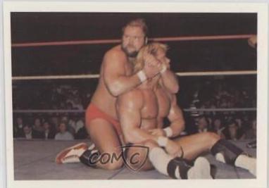 Arn Anderson, Lex Luger #53
