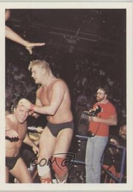 Barry Windham #222