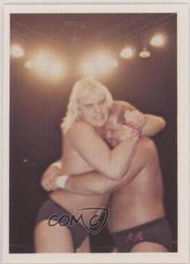Barry Windham, Arn Anderson #43