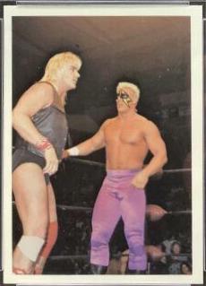 Barry Windham, Sting #9