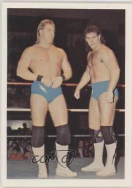 Brad Armstrong, Tim Horner #108