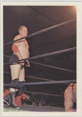 Dick Murdoch #266