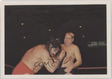 Dick Murdoch, Steve Williams #141