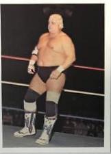 Dusty Rhodes #105
