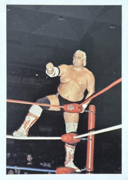 Dusty Rhodes #120