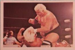 Dusty Rhodes, Ric Flair #219