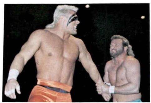 Eddie Gilbert, Sting #41