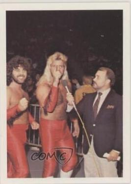 Jimmy Garvin, Michael Hayes #340