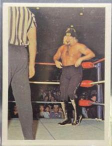 Jimmy Valiant #113