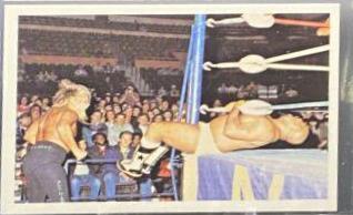 Jimmy Valiant #201