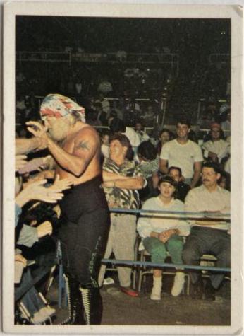 Jimmy Valiant #88