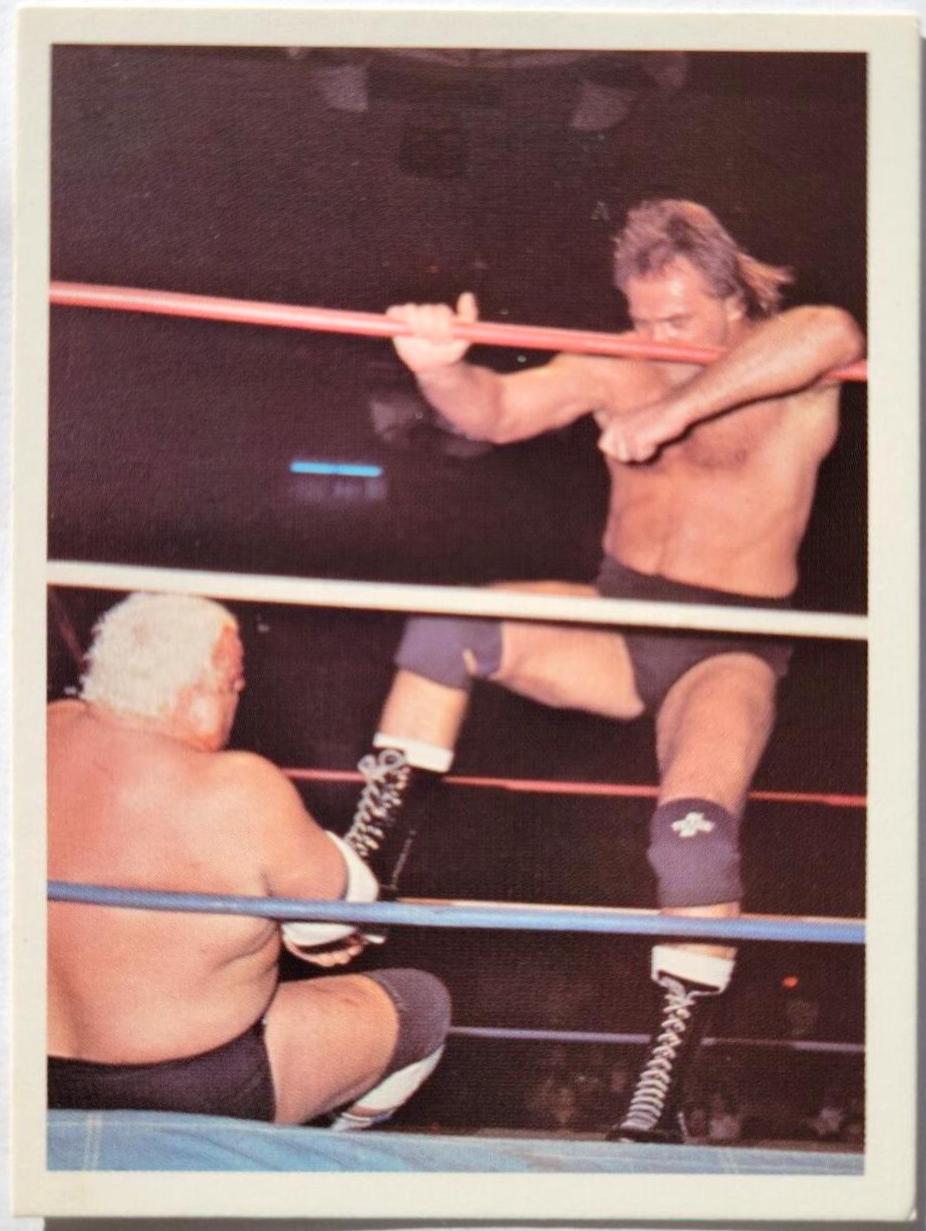Larry Zbyszko vs Dusty Rhodes #336