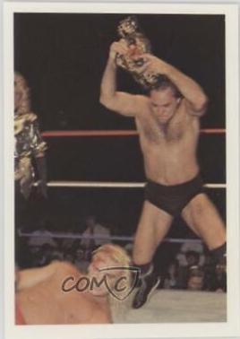 Larry Zbyszko, Barry Windham #118