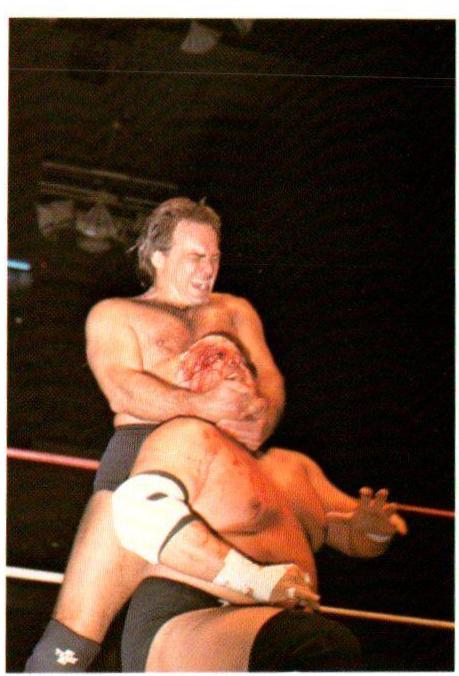 Larry Zbyszko, Dusty Rhodes #223