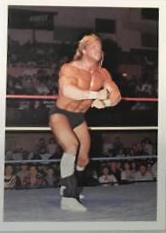 Lex Luger #183