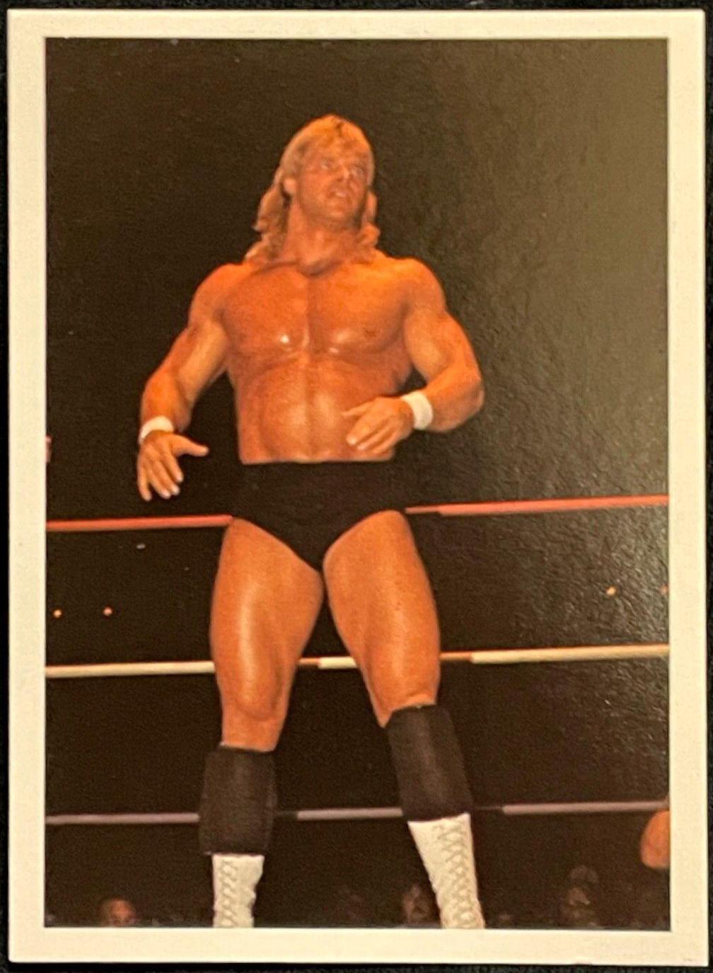 Lex Luger #212