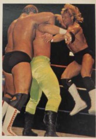Lex Luger #35