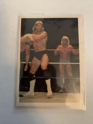 Lex Luger, Sting #116