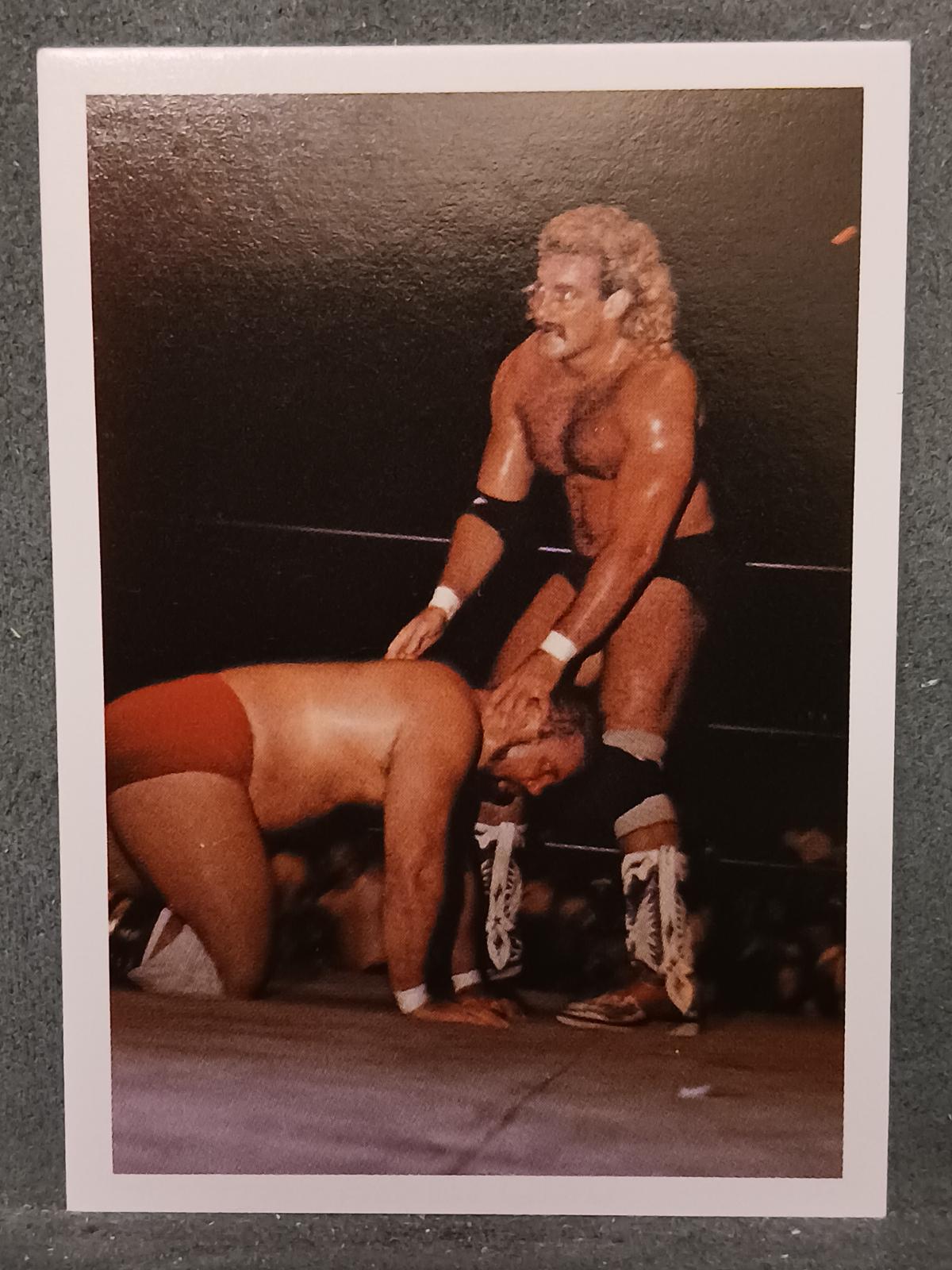 Magnum T. A./ Arn Anderson #242