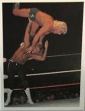 Michael Hayes vs Ric Flair #197