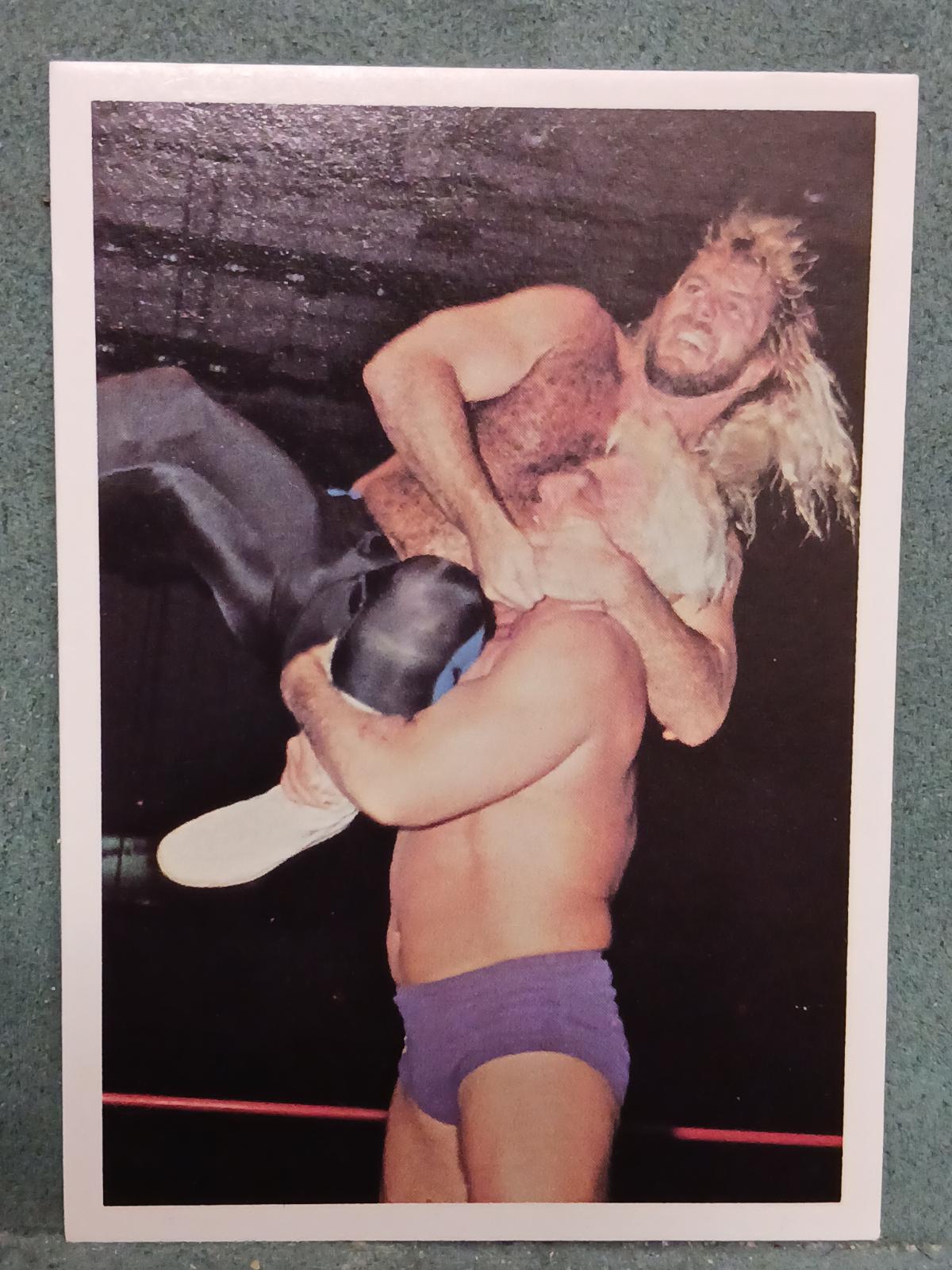 Michael Hayes, Ric Flair #107