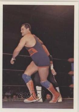 Mike Rotunda #167