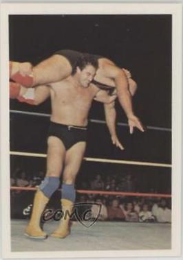 Mike Rotunda #76